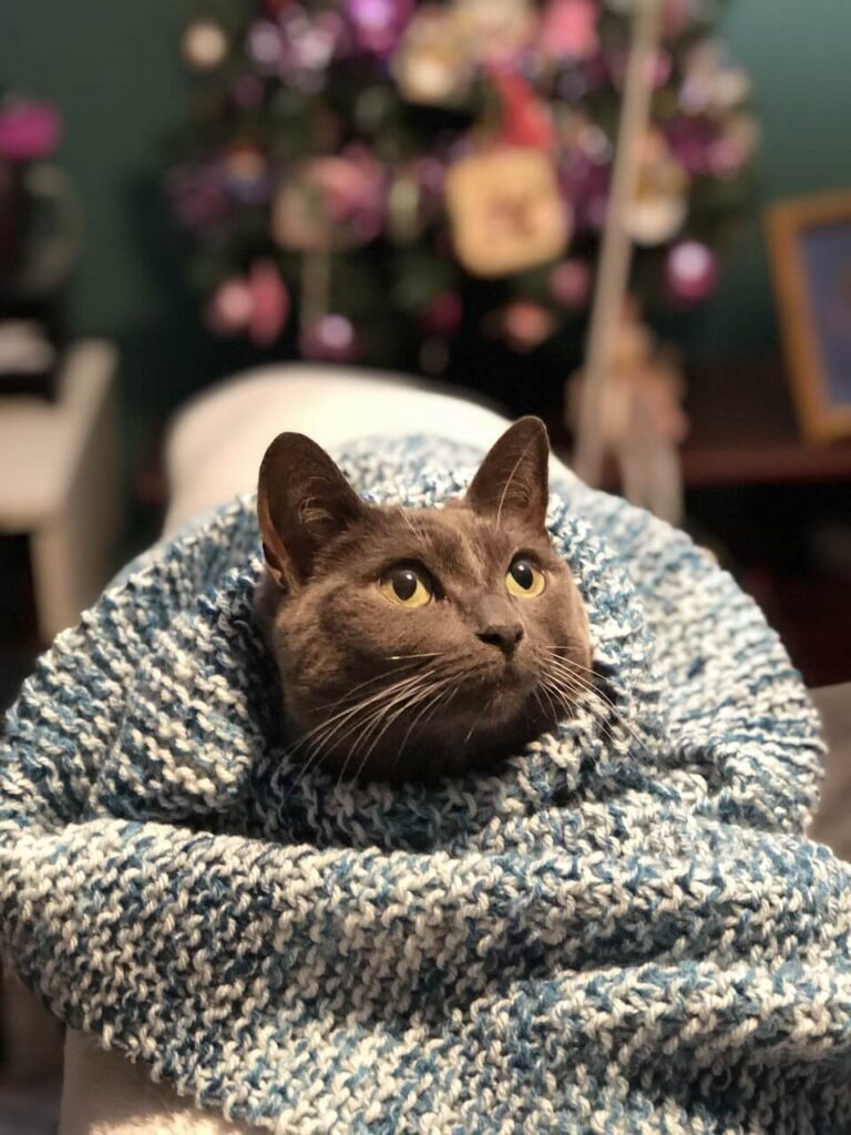 Tradycje bożonarodzeniowe