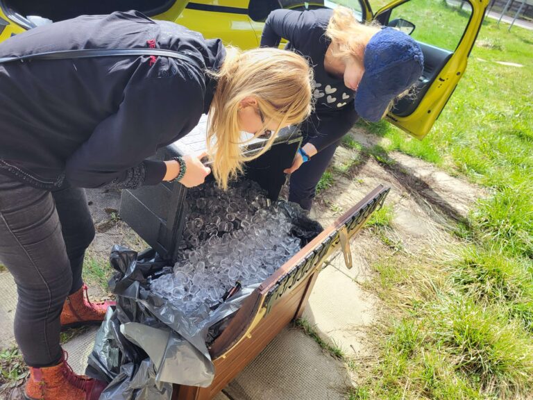 atrakcje na integracje